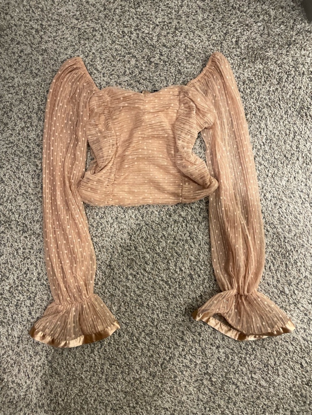 Mesh Puff Sleeve Top in Blush Tan